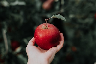 To Your Health - What can 1 Apple a day give you?